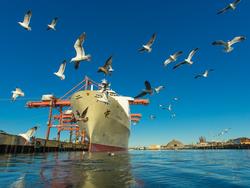 Clean Water projects receive $3 Million from Port