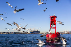 Port of Long Beach cuts Diesel Pollution 87%