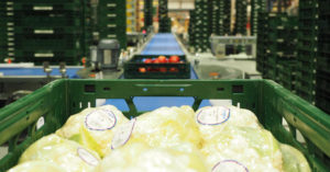 Cimcorp opens new Service Center in Germany to accommodate rapidly expanding client base