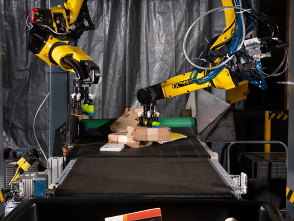 Dual-robot-singulator image