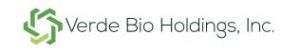 Verde Bio Holdings, Inc. announces termination of BioDiesel transaction