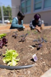 Community Grants Program gives more than $2.7 Million