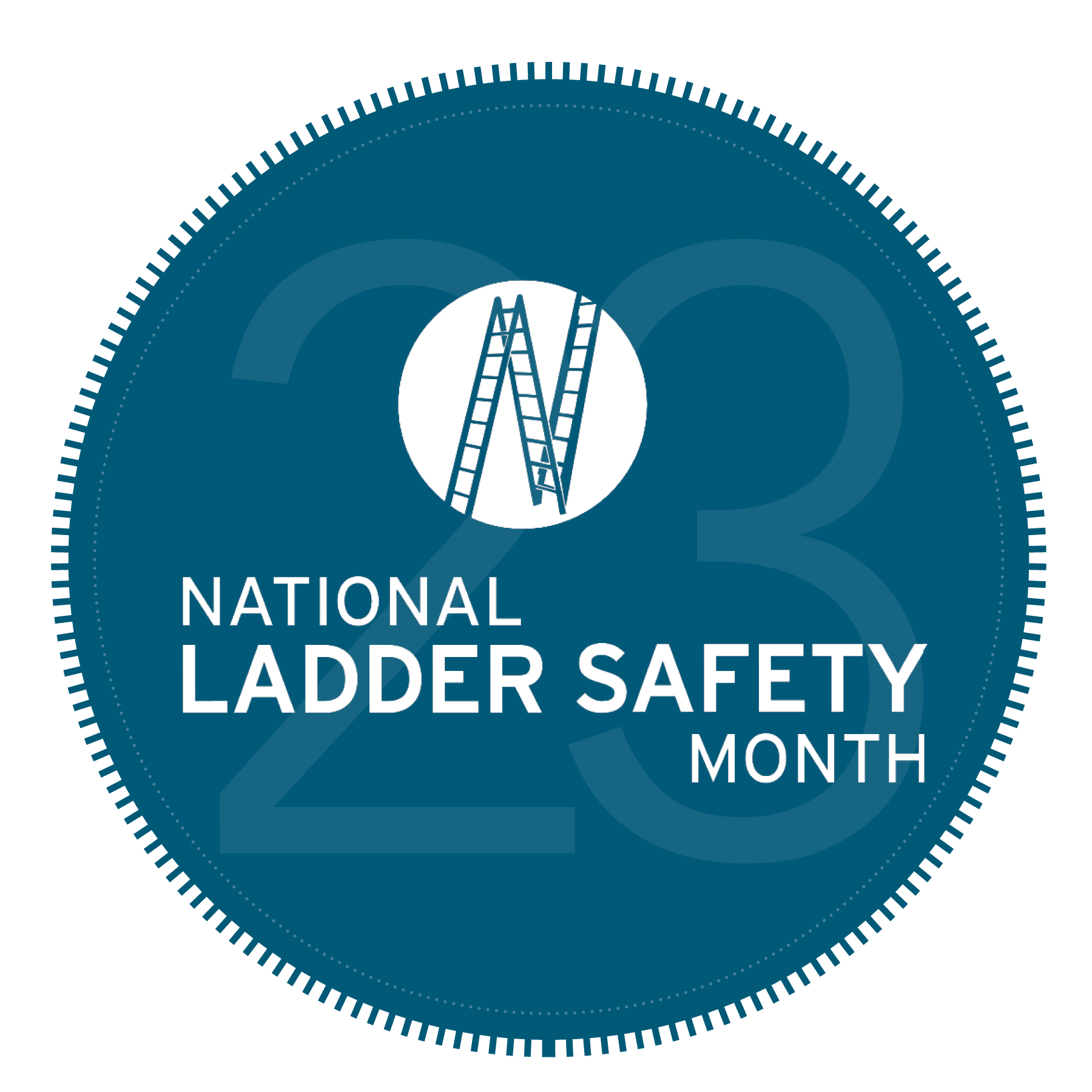 National Ladder Safety Month image