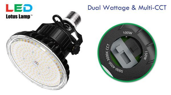 HyLite Lotus Lamps